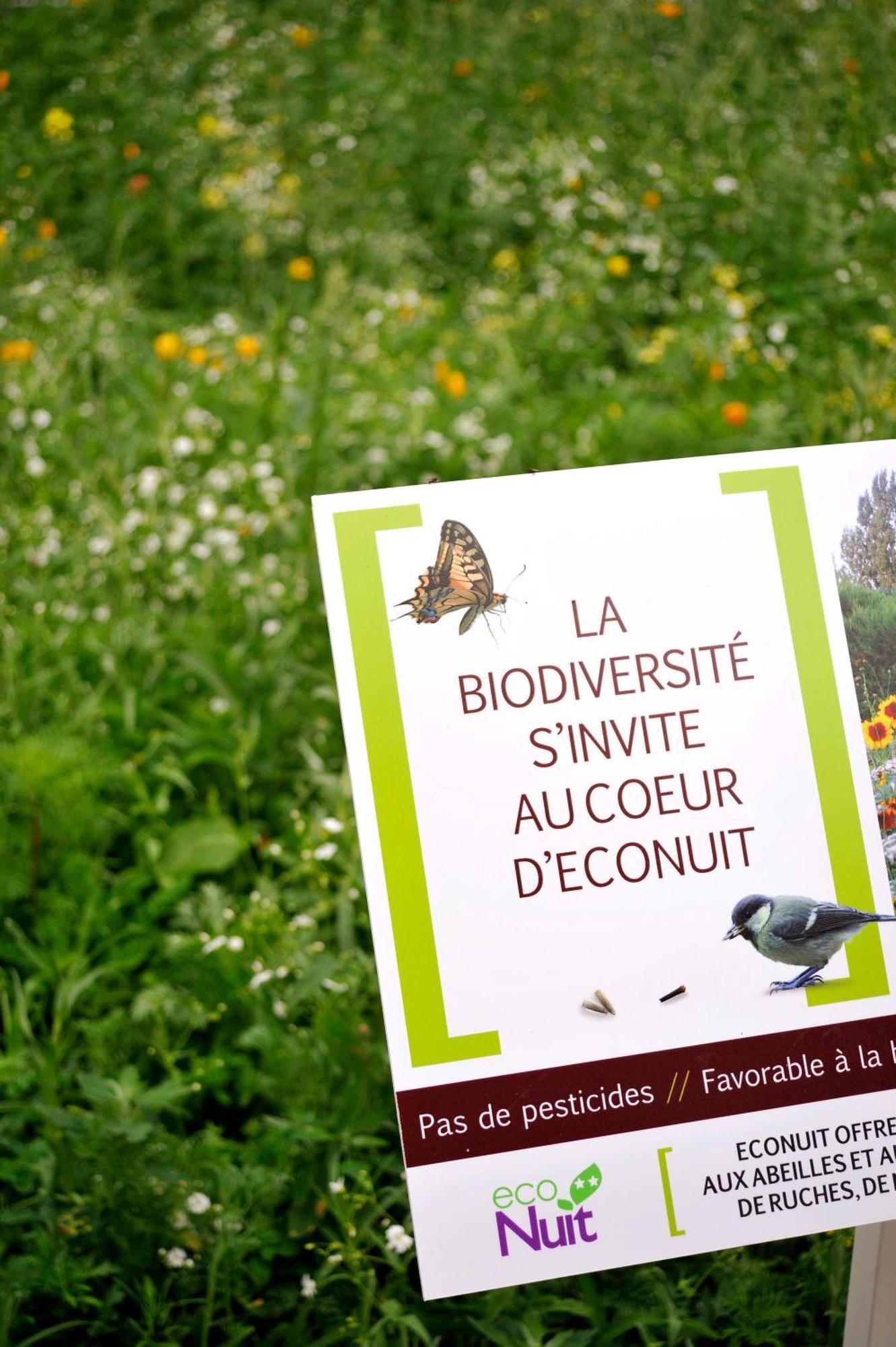 Sure Hotel By Best Western Guerande Exterior photo